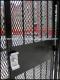 101048_Expandedmetaldoor.jpg
