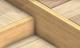 102481_cedar.jpg