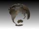 105450_globe.jpg
