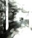 113010_Splotchy2.jpg