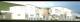 120027_Bright_render.jpg