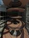 125032_atrium_1.jpg