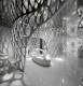 125437_Organic_Ceiling_Inspiration.jpg