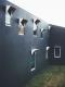142739_teeland-stealth-46.jpg