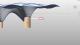 156658_2018-02-01_001244-Autodesk_Revit_2017_-_STUDENT_VERSION_-_3D_View_3D_-_Family1.jpg