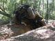 26670_RedGate_0402.jpg