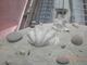30168_CIMG2607.JPG