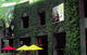 39555_Plant_wall.jpg