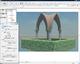 42584_Horizont_line.png