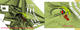 44794_strange_site.jpg