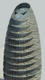 47460_3d_ellipse_top.jpg
