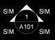 47730_section.TIF