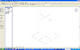 55934_Euculyptus_4.jpg