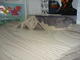 62678_p1010217q.jpg