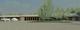 72556_CBBC_-_Rendered_Trees.jpg