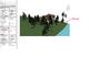 84654_clipping.jpg