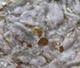 86601_E010.jpg