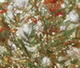 86601_E012.jpg