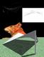 squirrelnet.jpg