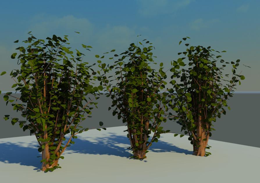 Trees