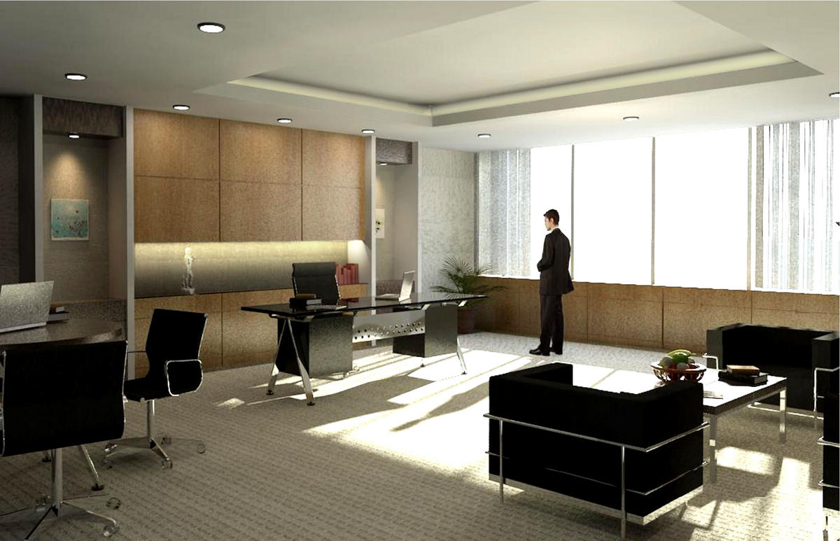 director rooms