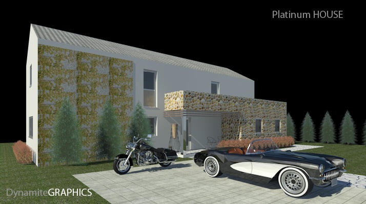 Platinum HOUSE