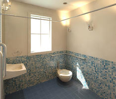 Handicap Bathroom