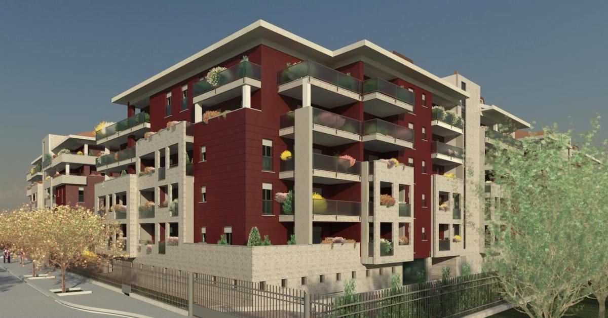 vitsa esterna