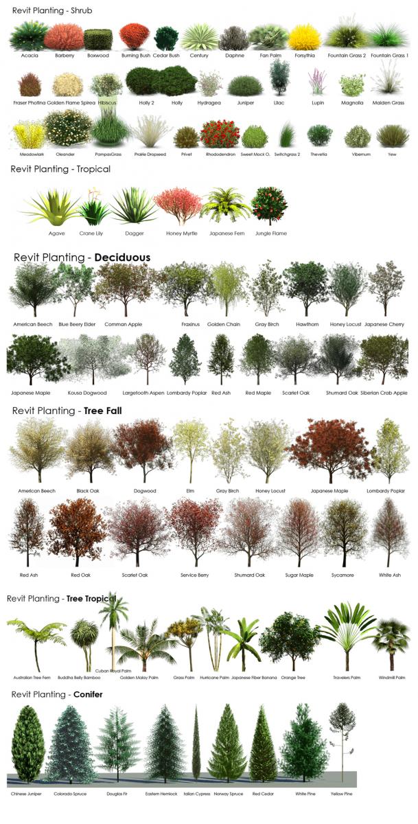 Revit Planting Catalogue