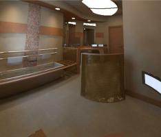 ADA BATHROOM_5