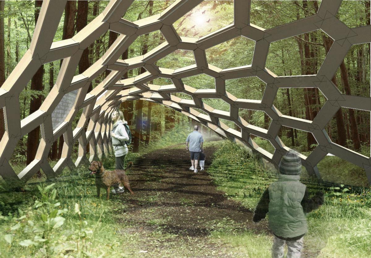forest entrance