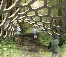 forest entrance