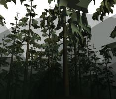 Gloomy Trees
