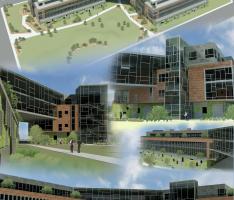 Office Development