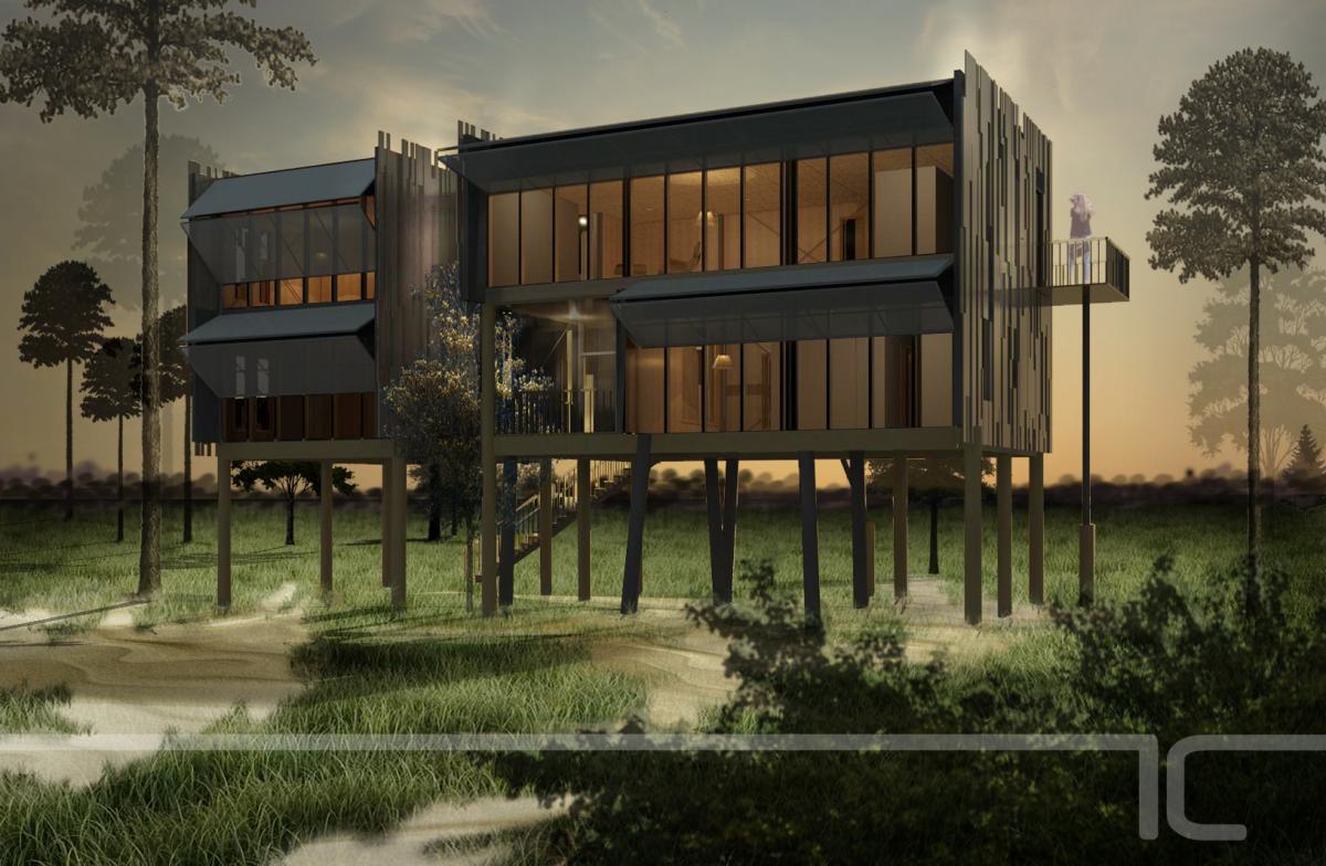 loblolly rendering
