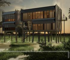 loblolly rendering