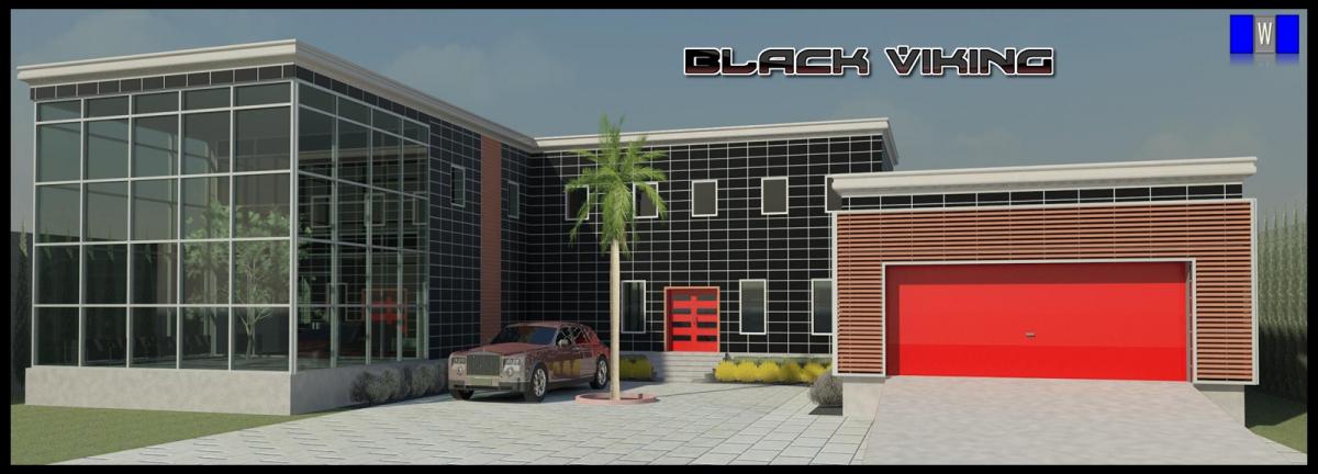 Black Viking