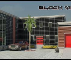 Black Viking