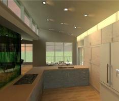 Kitchen Demo