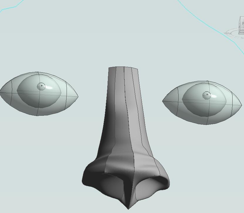 Mouth/ Nose/ Eye in Revit