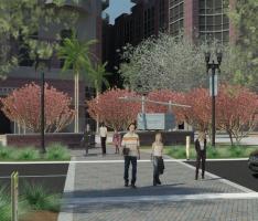 Ped. Access Study