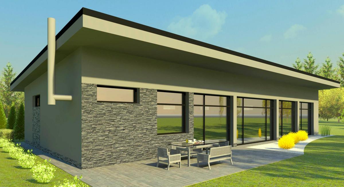 Janus House