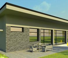 Janus House