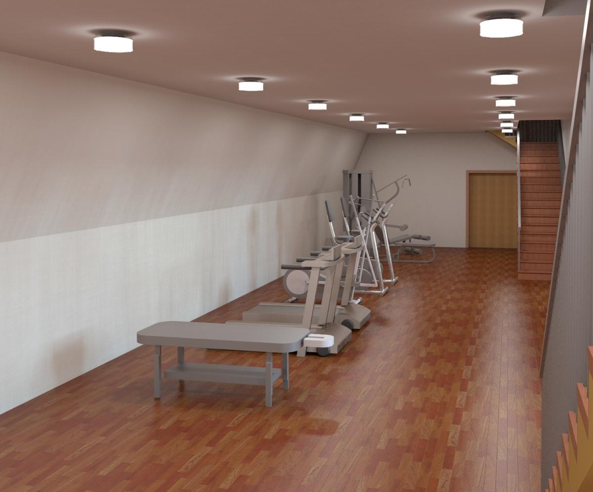 Sonya House Gym