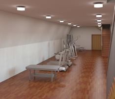 Sonya House Gym