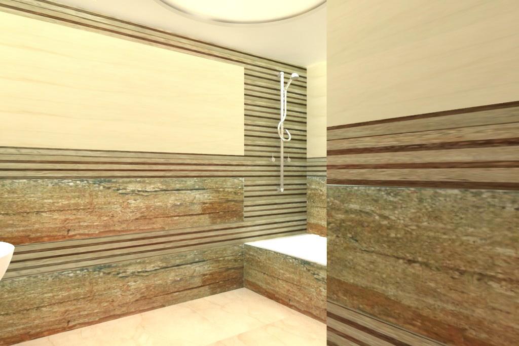 toilet1