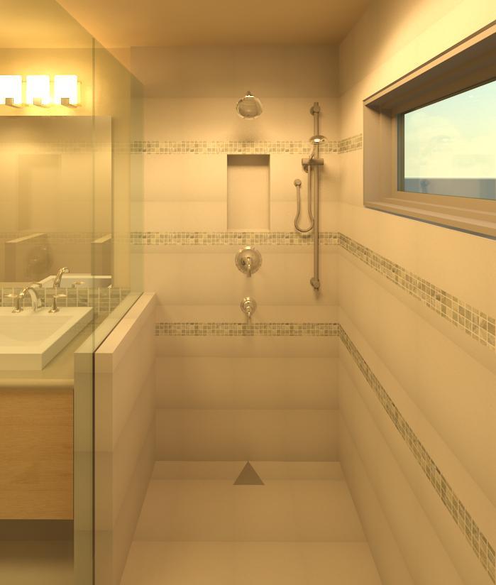 Master Shower Study