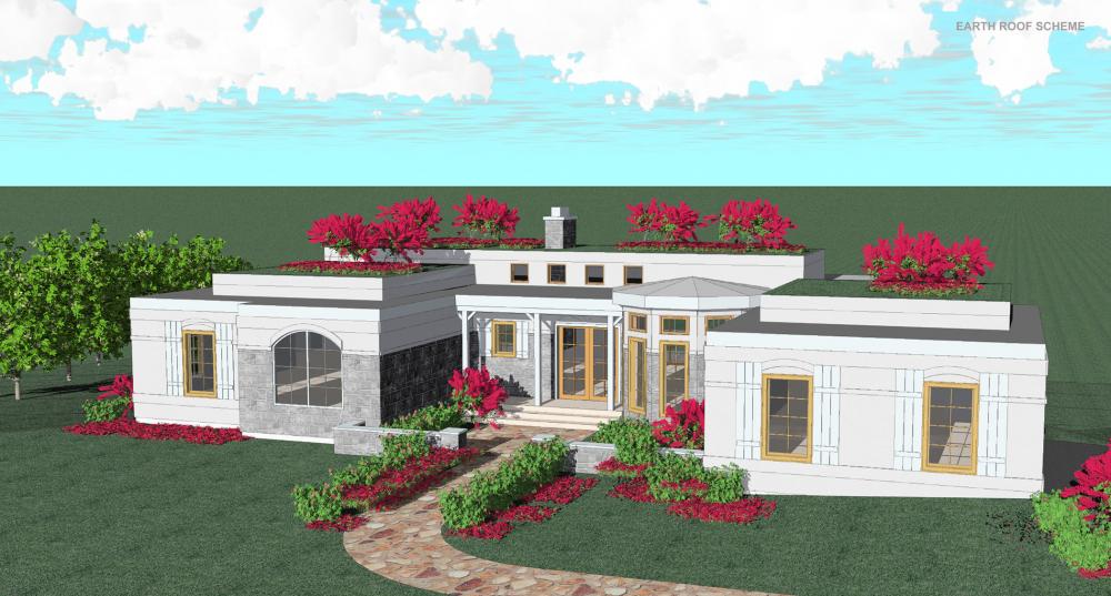 green roof house