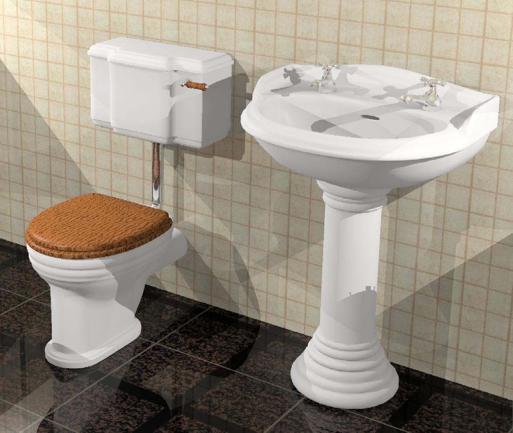 toilet & basin