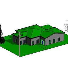Dodgey House